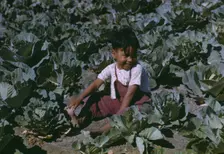 Child of a migratory farm laborer in the field during the harvest..., FSA labor camp, Tex., 1942. Creator: Arthur Rothstein