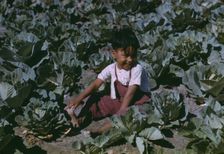 Child of a migratory farm laborer in the field during the harvest..., FSA labor camp, Tex., 1942. Creator: Arthur Rothstein