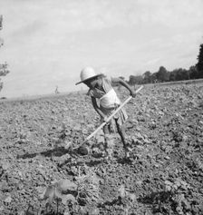 Child of impoverished Negro tenant family working on farm, Alabama, 1936. Creator: Dorothea Lange