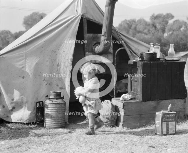 Child of migratory worker, American River camp near Sacramento, California, 1936. Creator: Dorothea Lange.