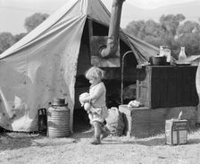 Child of migratory worker, American River camp near Sacramento, California, 1936. Creator: Dorothea Lange