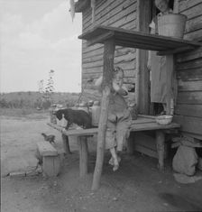 Child of sharecropper, near Gaffney, South Carolina, 1937. Creator: Dorothea Lange