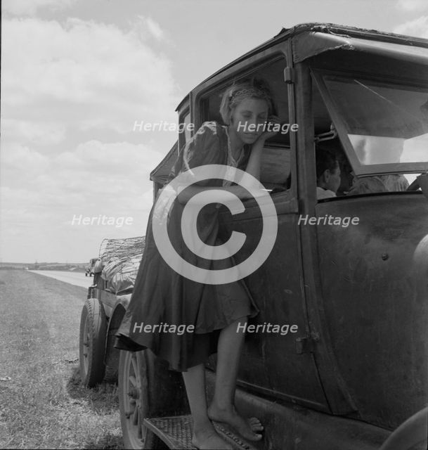 Child of Texas migrant family who follow the cotton crop, 1937. Creator: Dorothea Lange.