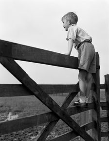 Child standing on a gate, 1963. Creator: Michael Walters