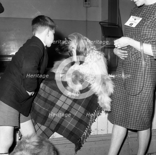 Child with an Afghan Hound at a dog show in Horden, County Durham, 1963.  Artist: Michael Walters