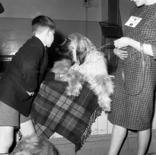 Child with an Afghan Hound at a dog show in Horden, County Durham, 1963. Creator: Michael Walters