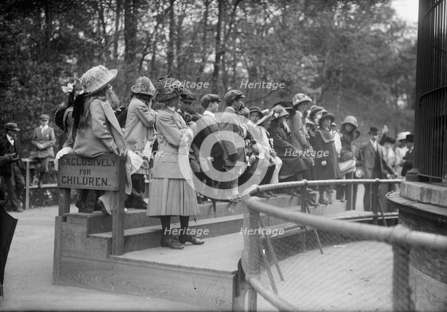 Children at N.Y. Zoo, between c1910 and c1915. Creator: Bain News Service.