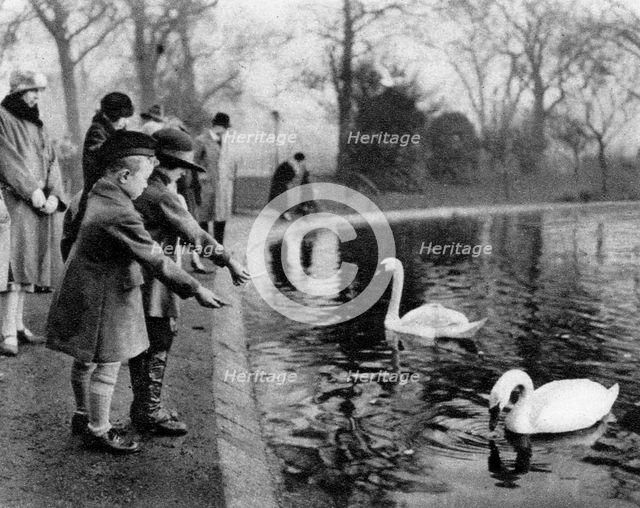 Children feeding the swans on the Serpentine, London, 1926-1927. Artist: Unknown