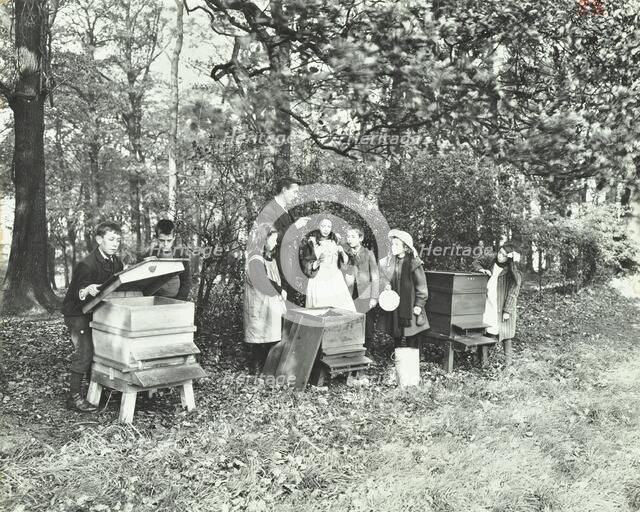 Children feeding bees for the winter, Shrewsbury House Open Air School, London, 1909. Artist: Unknown.