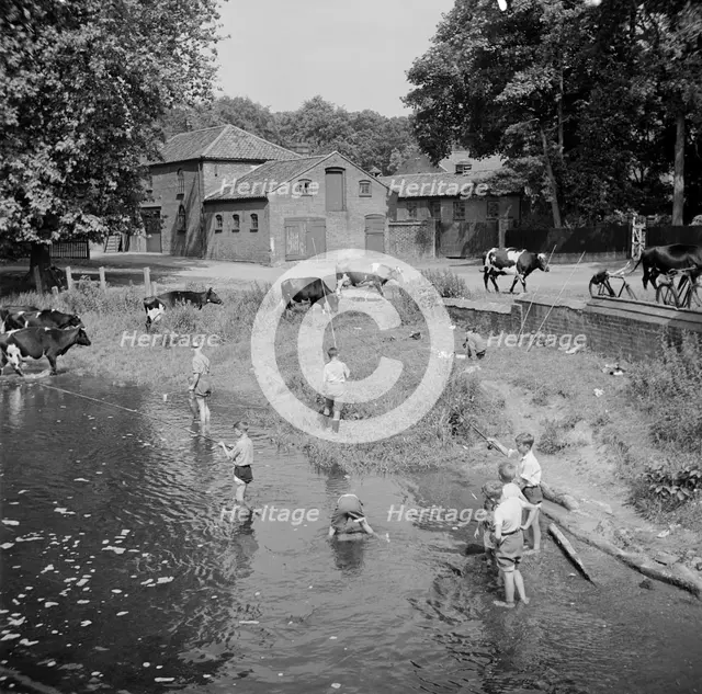 Children fishing in the River Wensum near Costessey, Norfolk, 1950. Artist: Hallam Ashley