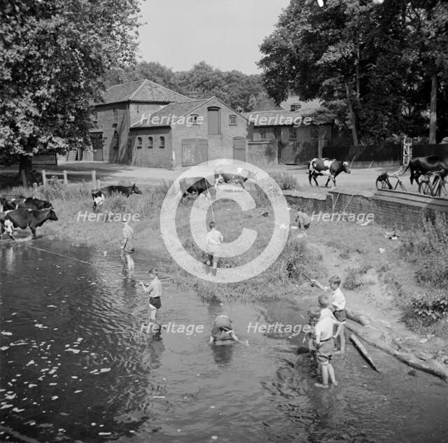 Children fishing in the River Wensum near Costessey, Norfolk, 1950. Artist: Hallam Ashley
