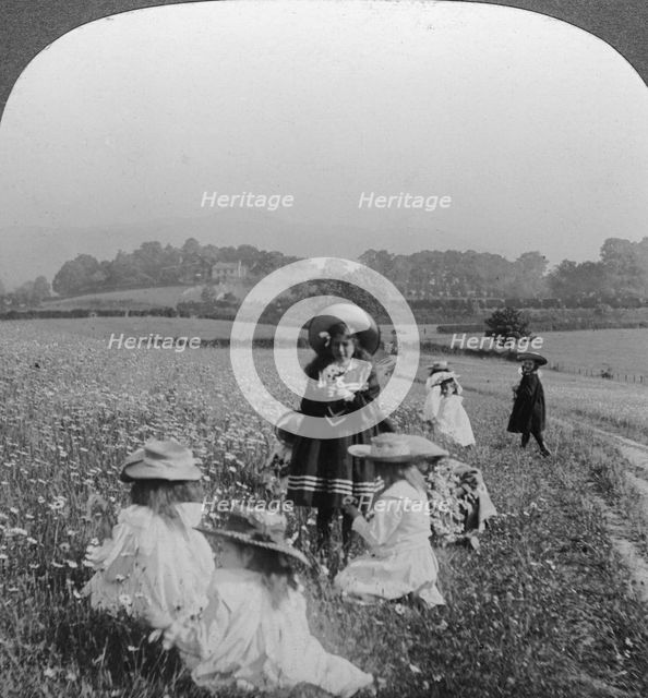 Children in a meadow, Keswick, Cumbria.Artist: Excelsior Stereoscopic Tours