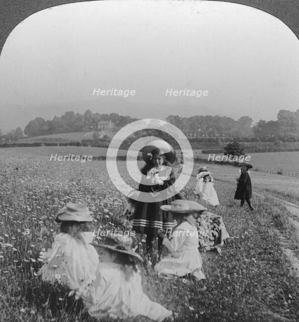 Children in a meadow, Keswick, Cumbria.Artist: Excelsior Stereoscopic Tours