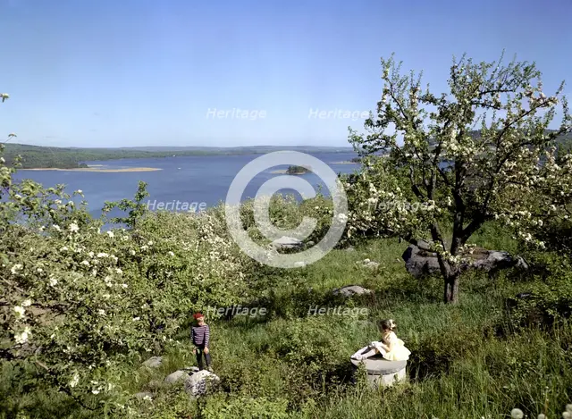 Children in the countryside during summer holidays, 1950s. Creator: Göran Algård.