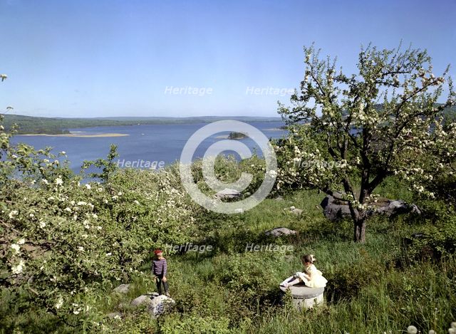 Children in the countryside during summer holidays, 1950s. Creator: Göran Algård.