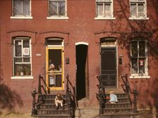 Children on row house steps, Washington, D.C., between 1941 and 1942. Creator: Louise Rosskam