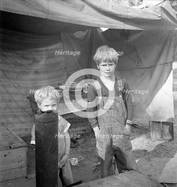Children of destitute family, American River camp, near Sacramento, California, 1936. Creator: Dorothea Lange.