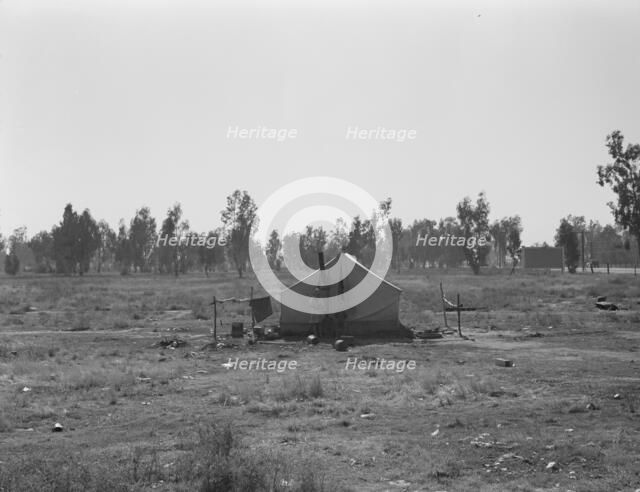 Children of drought refugees camped by highway outside of Fresno, California, 1936. Creator: Dorothea Lange.