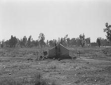 Children of drought refugees camped by highway outside of Fresno, California, 1936. Creator: Dorothea Lange