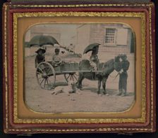 Children of Lt. Montgomery C. Meigs, in donkey cart with dog, probably..., between 1850 and 1851. Creator: Unknown