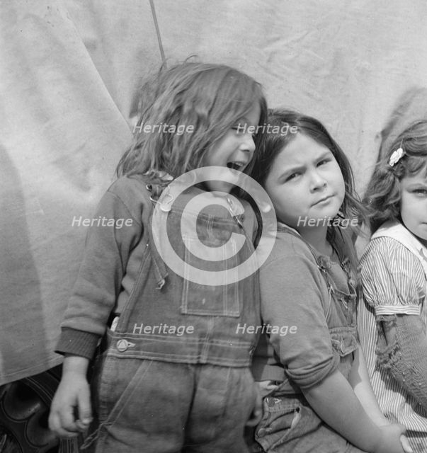 Children of migratory carrot pullers, Mexicans, Imperial Valley, California, 1937. Creator: Dorothea Lange.