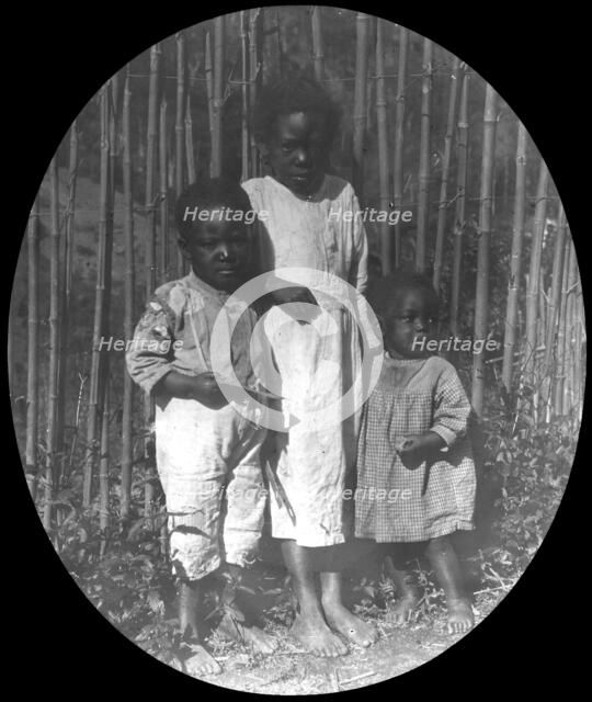 Children near Petrópolis, Brazil, late 19th or early 20th century. Artist: Unknown