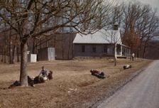 Children playing by road near school house, Kansas?, 1942 or 1943. Creator: John Vachon