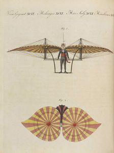 Children's Picture Book (Children's encyclopaedia) by Friedrich Johann Justin Bertuch, 1798-1830. Creator: Pupils of the Weimar Princely Free Drawing School