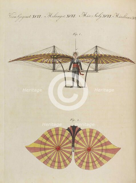 Children's Picture Book (Children's encyclopaedia) by Friedrich Johann Justin Bertuch, 1798-1830. Creator: Pupils of the Weimar Princely Free Drawing School.