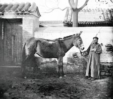 China: an old Mongol woman with her horse, Beijing, 1871. Creator: John Thomson