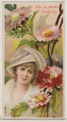 China Aster: Versatility, from the series Floral Beauties and Language of Flowers (N75) fo..., 1892. Creator: Donaldson Brothers