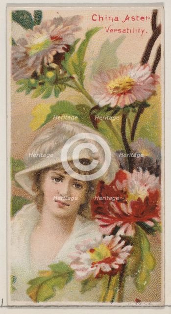 China Aster: Versatility, from the series Floral Beauties and Language of Flowers (N75) fo..., 1892. Creator: Donaldson Brothers.