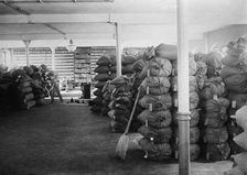 China - Beans at Dalny, between c1910 and c1915. Creator: Bain News Service