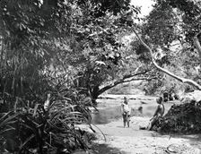 China, c1870. Creator: John Thomson
