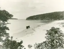 Chinamans Beach, Mosman, c1910s. Creator: Unknown