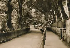 Chine Avenue, Shanklin, I.W. c1920. Creator: Unknown