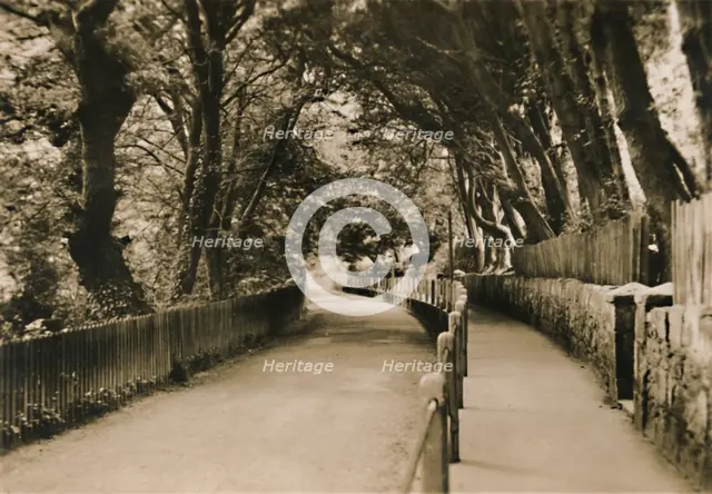 'Chine Avenue, Shanklin, I.W.', c1920. Creator: Unknown.