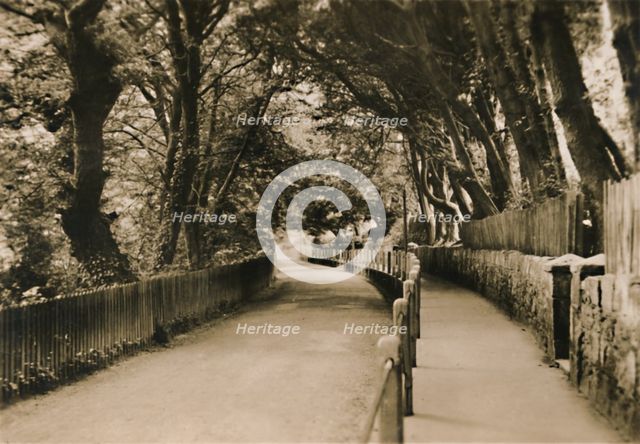 'Chine Avenue, Shanklin, I.W.', c1920. Creator: Unknown.