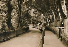 Chine Avenue, Shanklin, I.W. c1920. Creator: Unknown