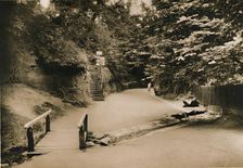 Chine Hollow, Shanklin, I.W. c1920. Creator: Unknown