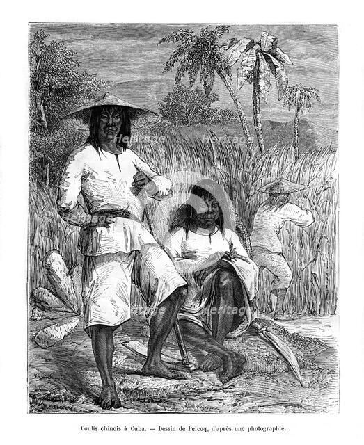 Chinese workers, Cuba, 19th century.  Creator: Jules Pelcoq.