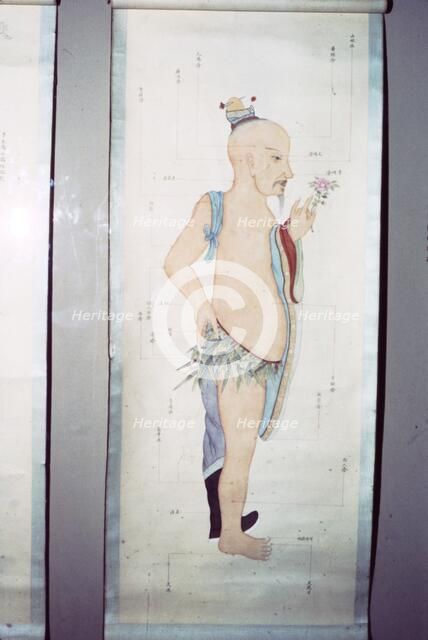 Chinese Acupuncture Chart. Artist: Unknown.