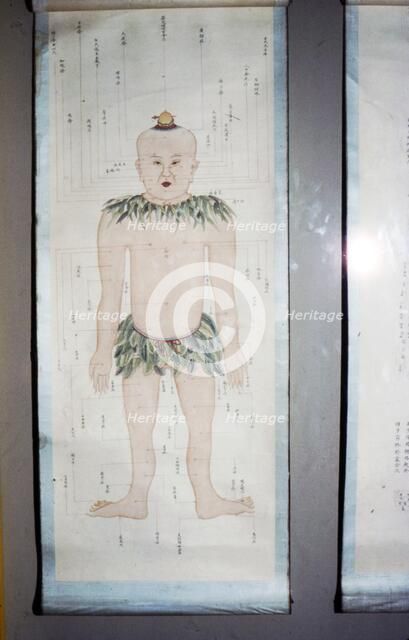 Chinese Acupuncture Chart, Front View. Artist: Unknown.