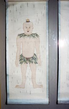 Chinese Acupuncture Chart, Front View