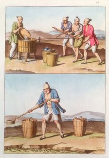 Chinese agriculture, 1825-1835 Creator: Unknown