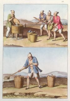 Chinese agriculture, 1825-1835