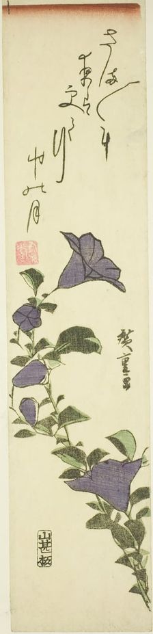 Chinese Bell Flowers, c. 1830s. Creator: Ando Hiroshige