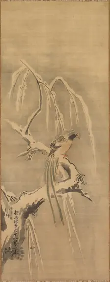 Chinese Bird on Snow-Laden Branch, 17th century. Creator: Kano Tan?y? (Japanese, 1602-1674)