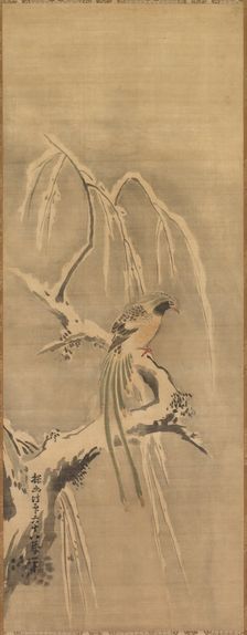 Chinese Bird on Snow-Laden Branch, 17th century. Creator: Kano Tan?y? (Japanese, 1602-1674)