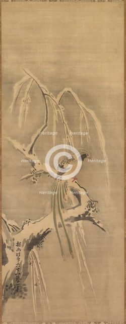 Chinese Bird on Snow-Laden Branch, 17th century. Creator: Kano Tan?y? (Japanese, 1602-1674).